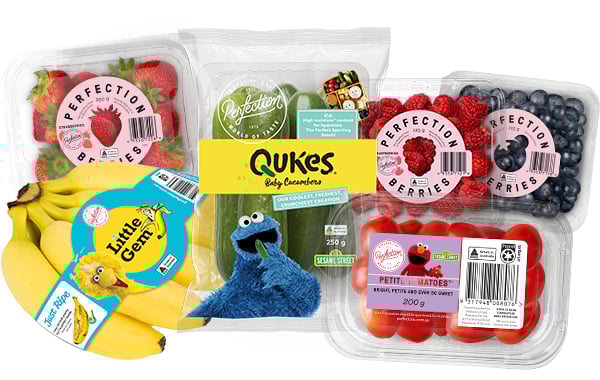 Back-to-School-Packs