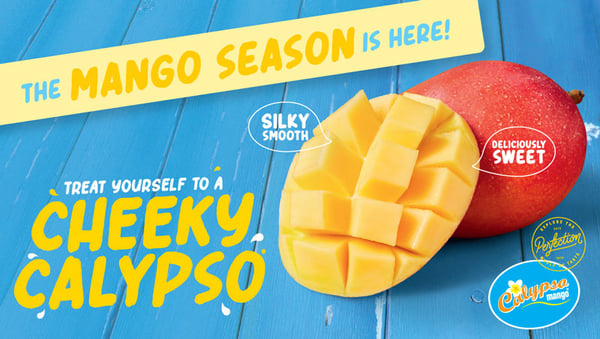 calypso-season-is-here-01