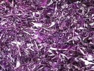 Cabbage