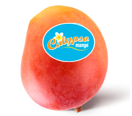 Calypso Mango