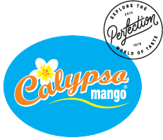 Calypso logoAsset 1