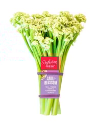 Cauliblossom Blog Beauty