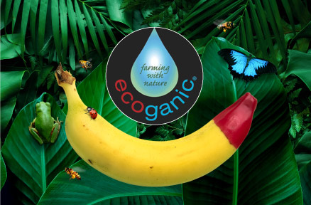 2023_04_April_EDM-ecoganic