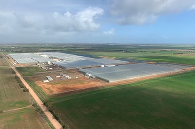 Places_WR_Perfection Fresh Glasshouse Two Wells overhead_540x360