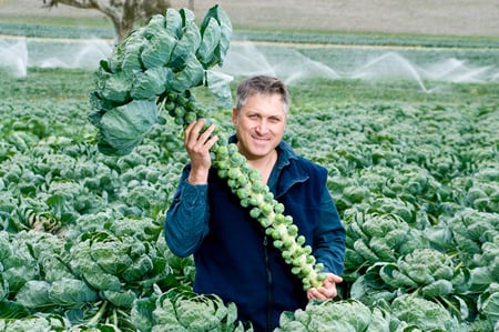 People_Growers_LR_Baby-Brussels-Sprouts_John-Cranwell13
