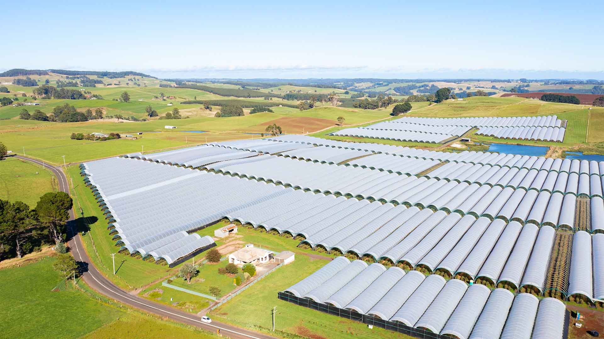 Places_WR_Perfection-Berries-Tasmania_Drone_2022_1920x1080