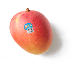 Calypso Mango