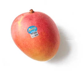 Produce-LR_Calypso-Mangoes_single_etched-1