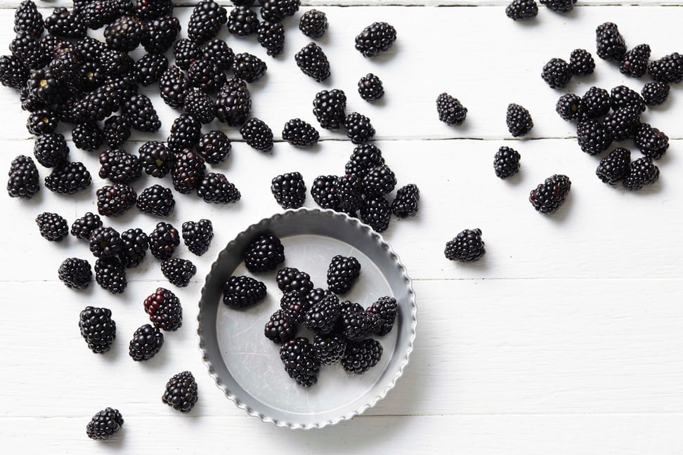 Berry Good For You Perfection Fresh Australia.