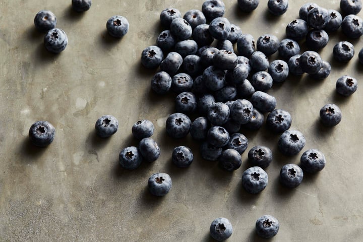 Perfection Blueberries