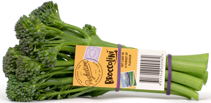 Perfection Fresh Broccolini Bunch