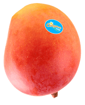 Produce_LR_Calypso-Mango_3--2