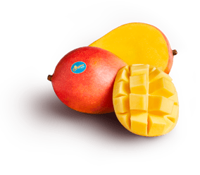 Produce_LR_Calypso_styled_6_etch_mango only