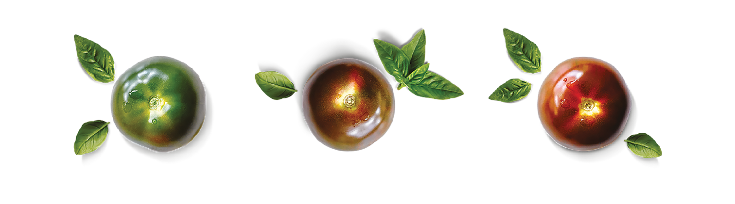 Produce_LR_Kumato Stages_landscape