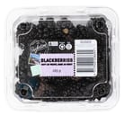 Perfection Blackberries