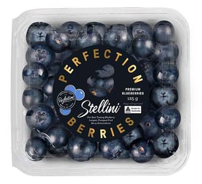 Produce_WR_Perfection Berries_Stellini Premium Blueberries 125g_2D