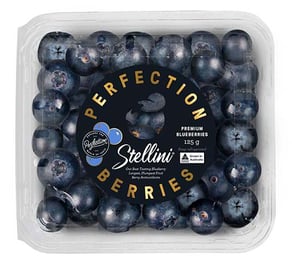 Produce_WR_Perfection Berries_Stellini Premium Blueberries 125g_2D