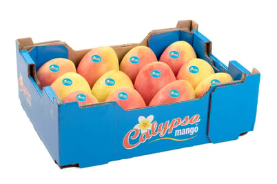 Produce_WR_Calypso-mango_carton-tray-12-5