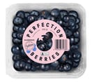 Produce_WR_Perfection-Berries_Blueberries-125g_2D-1