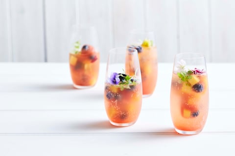 Recipe_LR_Calypso Mango_Blueberry_Gin & Tonic_2017_Janelle Bloom_4