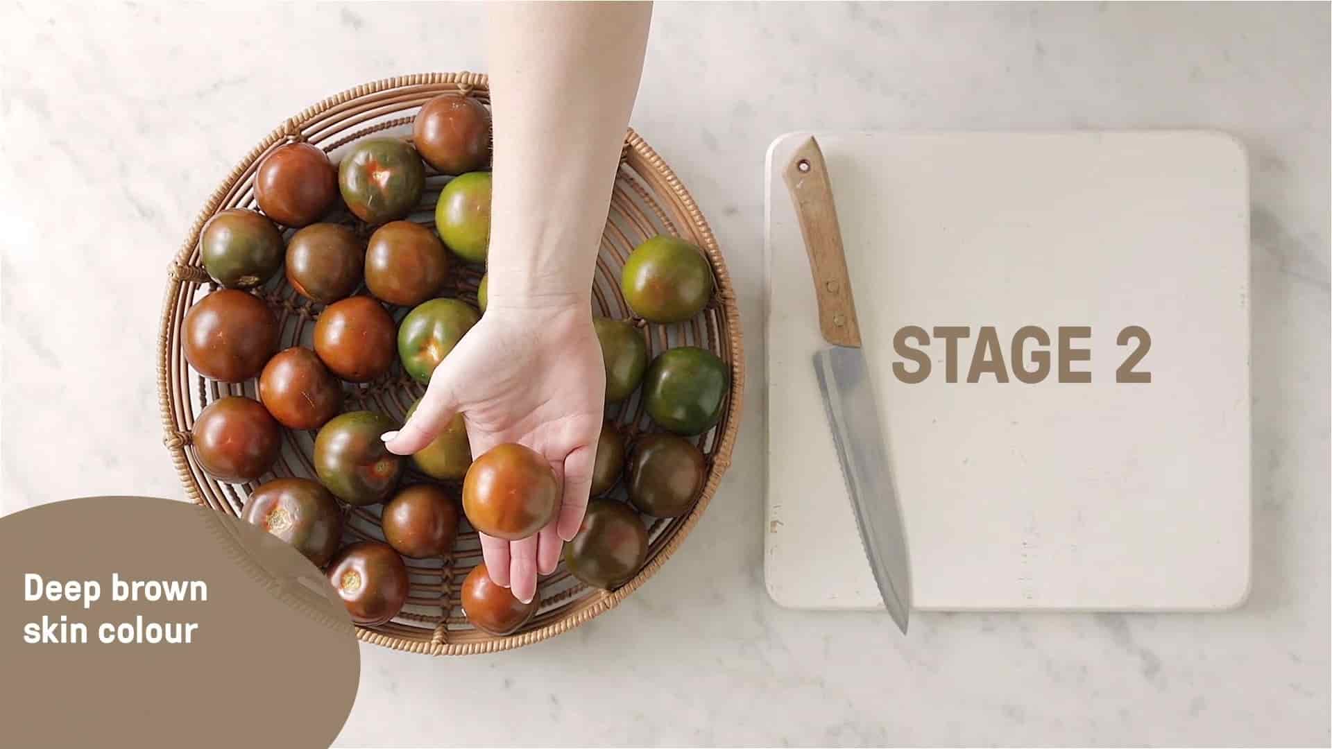 A hand holding a brown kumato tomato over a basket of kumatoes.