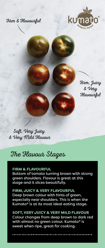 Kumato tomato Flavour Stages.