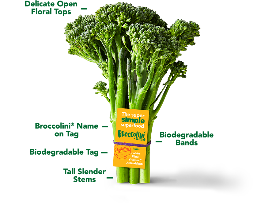 Quick and Easy Weeknight Dinners with Broccolini® Perfection Fresh
