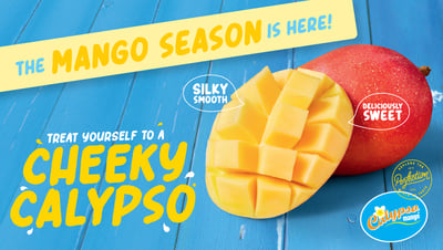 calypso season is here-01
