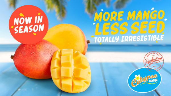 calypso-season-begun.-2021jpg