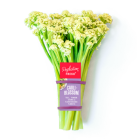cauliblossom