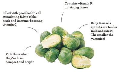 features-bambino-baby-brussels-sprouts