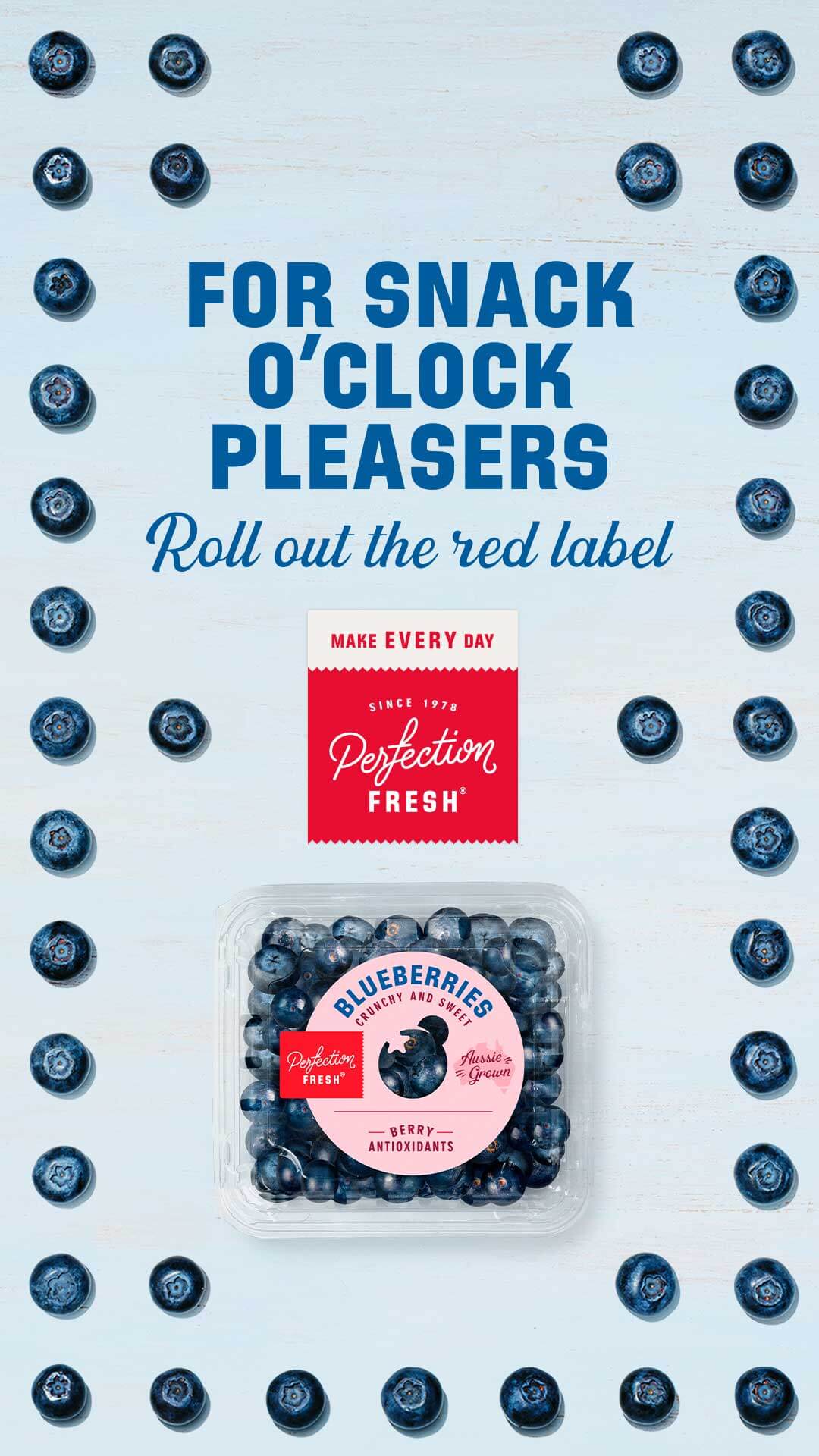 2026_Blueberries_Portrait