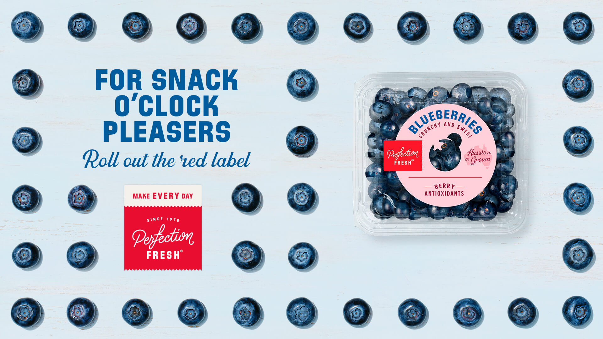 2026_Blueberries_landscape