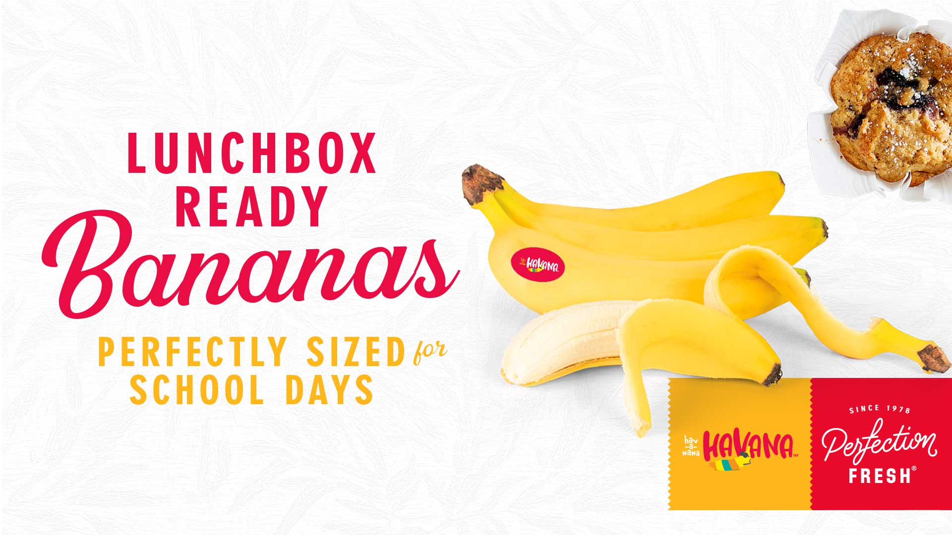 Havana Bananas - lunchbox ready and perfectly sized. Click to learn more.