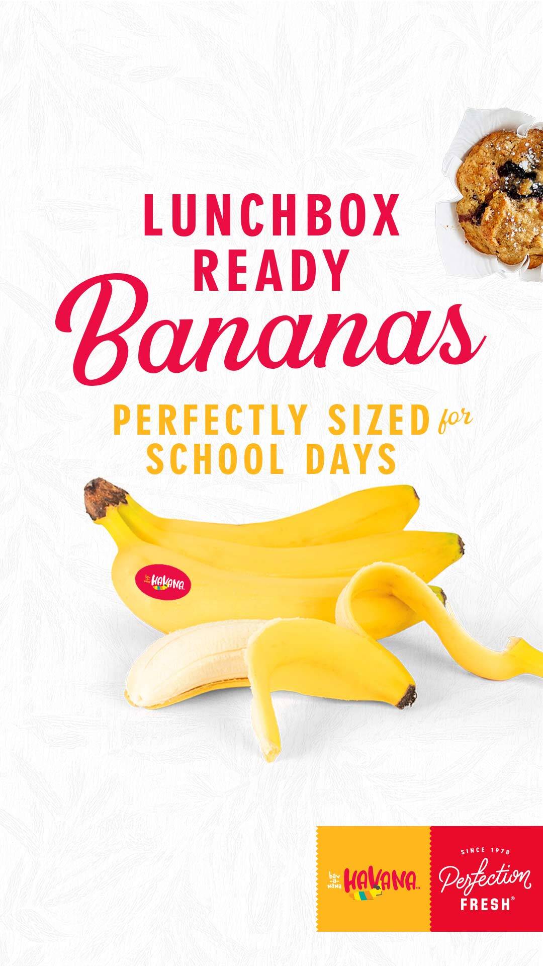 Havana Bananas - lunchbox ready and perfectly sized. Click to learn more.