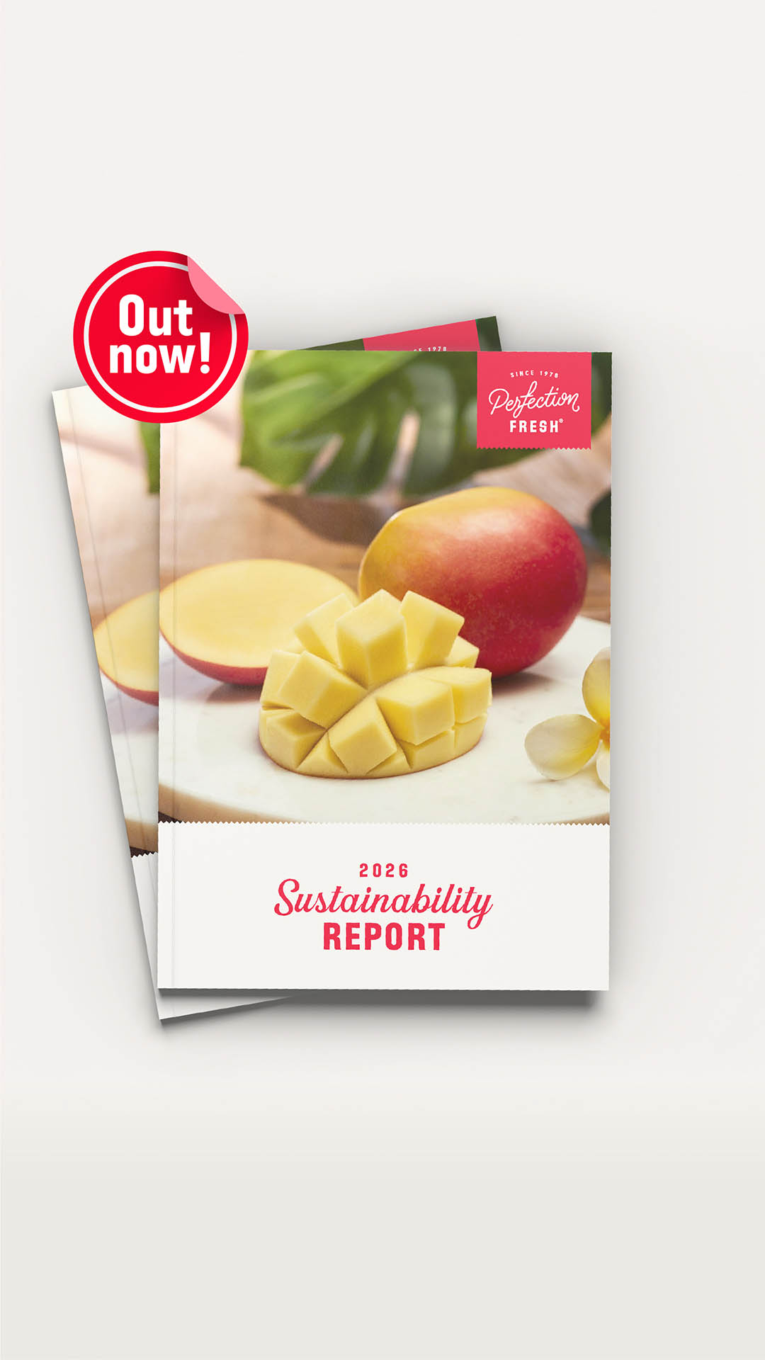 ESG Sustainability Report 2026 - Out now!