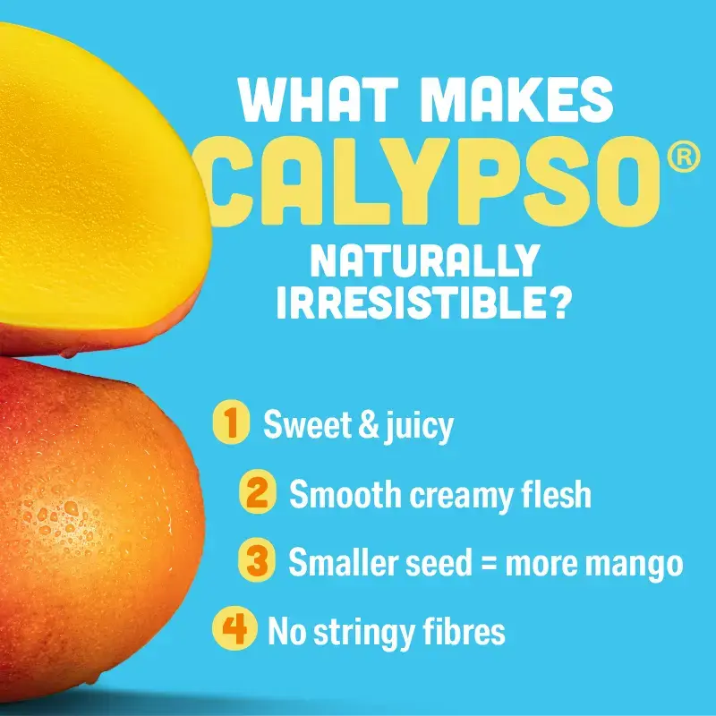 Calypso mango showing four reasons it’s naturally irresistible: sweet and juicy, smooth creamy flesh, smaller seed for more mango, and no stringy fibres.