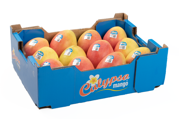 Calypso Mango Box