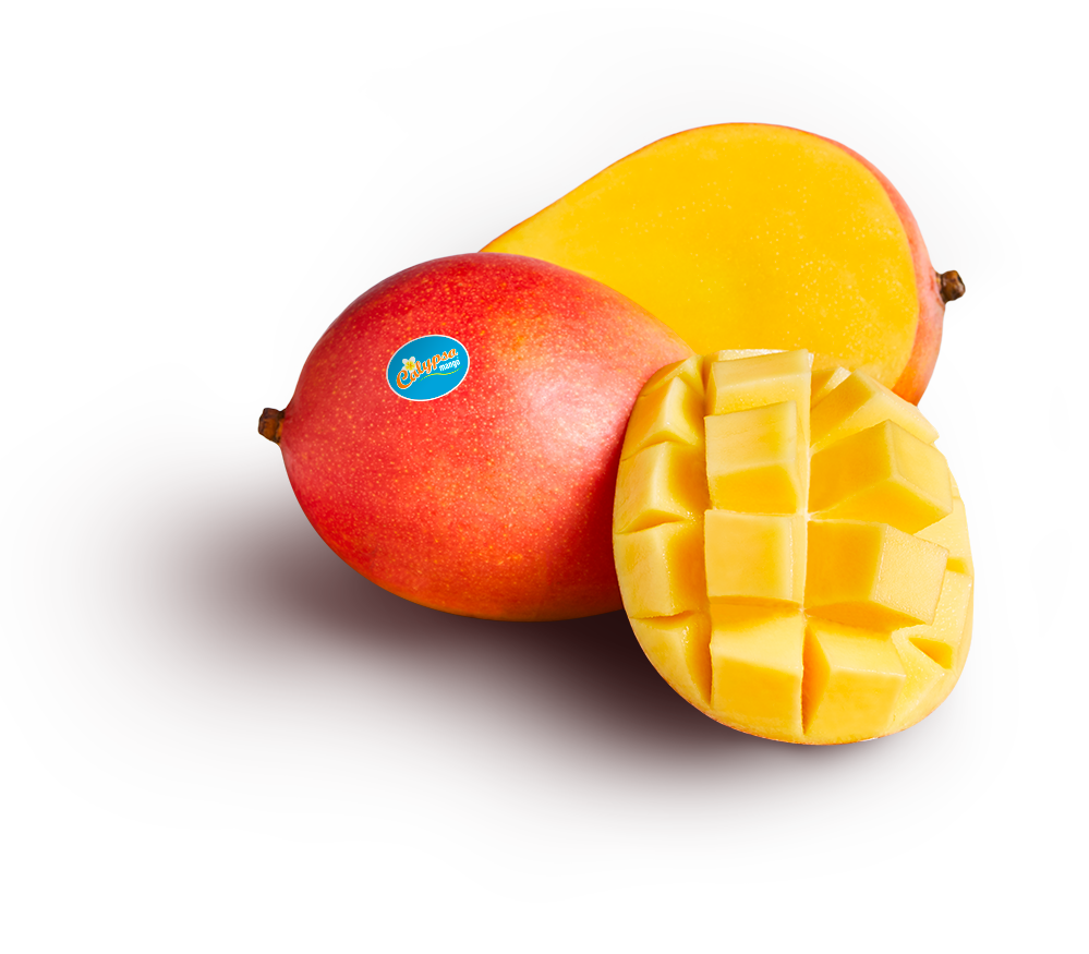 Calypso Mangoes