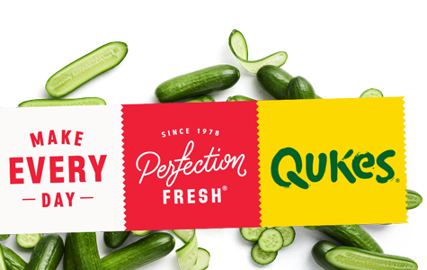 Qukes-Flavour