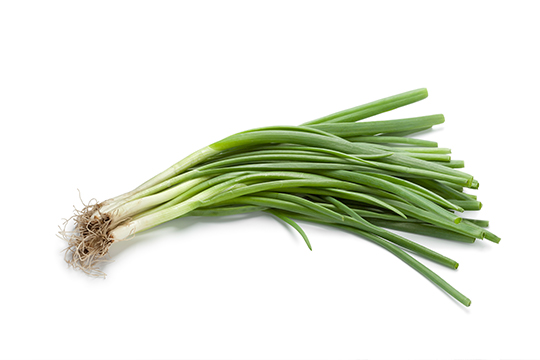 Shallots and Leeks: Lesser Known Onion Cousins - Organic Gardening